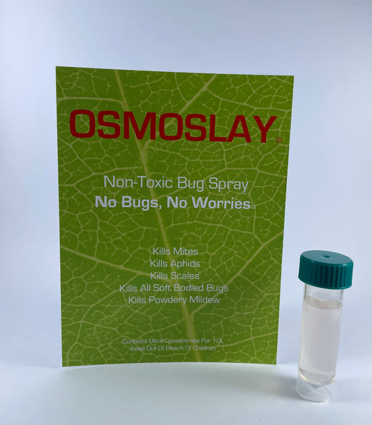 Osmoslay Value Refill Pack